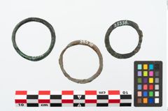 Foto von Bronzering (NHMW-PRAE-025576)